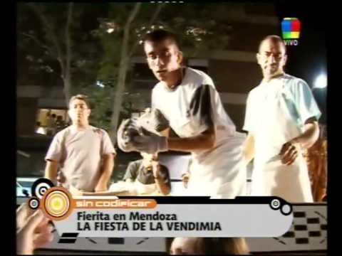 Fiesta de la Vendimia Mendoza 2009 - Sin Codificar