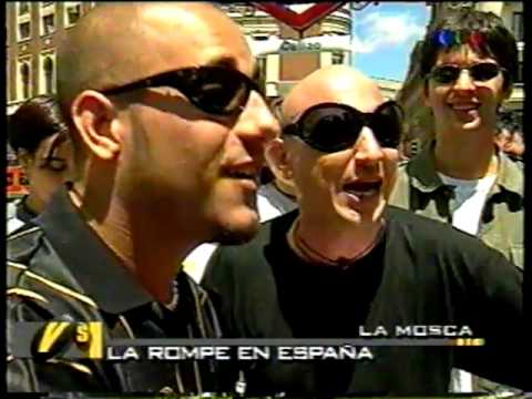 La Mosca en España - Versus 2000