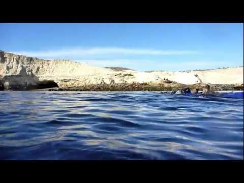 Snorkel con Lobos Marinos en Madryn 2011